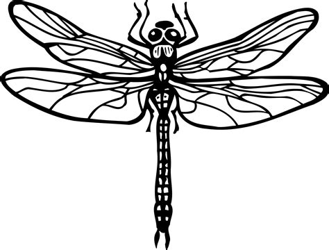 dragonfly coloring pages    print
