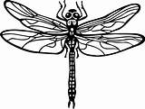 Dragonfly Coloringtop sketch template