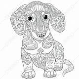 Detailed Animal Coloring Pages Printable Getcolorings sketch template