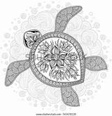 Hawksbill sketch template