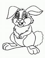 Kaninchen Herunterladen sketch template