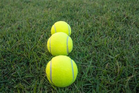 tennis balls  grass stock photo image  yellow society
