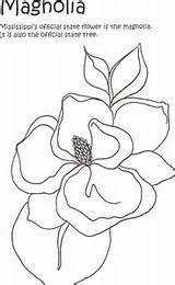 Magnolia Coloring Printable Pages Color Getcolorings Print sketch template