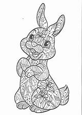 Coloring Pages Easter Mandala Bunny Cat Colouring Printable Bunnies Uploaded User Kids Easy Dibujos sketch template