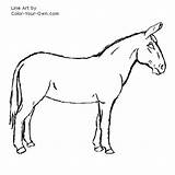 Mule Coloring Pages Color Line Index Own sketch template