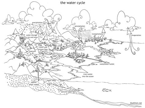 coloring pages  water cycle bluebisonnet