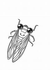 Cicada Printmania sketch template