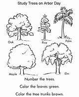 Arbor Baum Pflanze Ausmalbilder Coloringhome sketch template