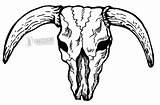 Cow Skulls Longhorn sketch template