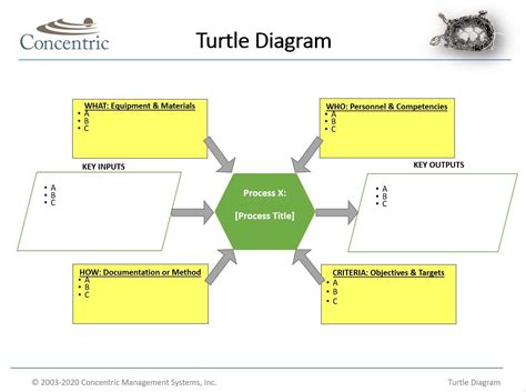 instructions  creating  turtle diagram concentric global