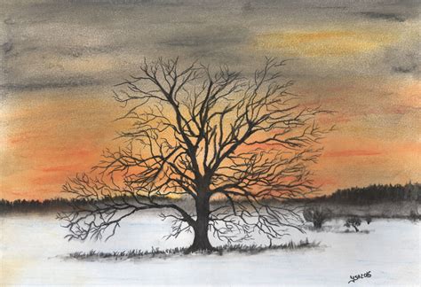 winterbaum  baum schnee winter zeichnung von yvonne steinfort