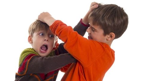 la agresividad infantil comprendiéndola y solucionándola