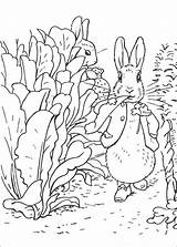 Konijn Pieter Rabbit Fun Sheets Stemmen sketch template