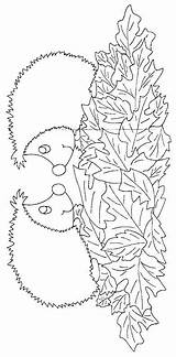 Ausmalbild Igel Igeln Herbst Coloring Besuchen Hedgehogs sketch template