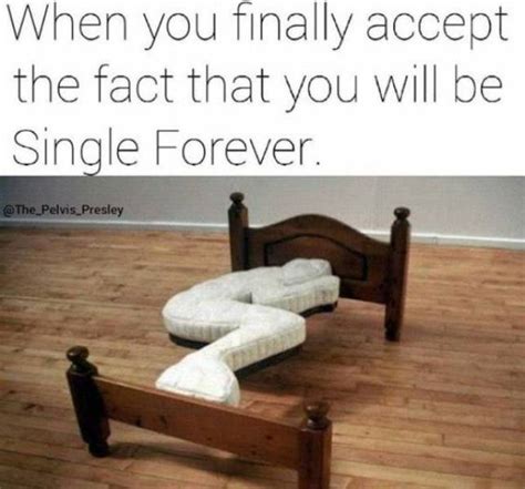 29 Hilarious Memes About Being Single Barnorama