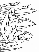 Worm Coloring Pages Printable Library Clipart Cartoon Sketch Popular Books sketch template