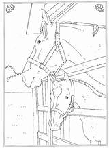 Kleurplaat Kleurplaten Manege Paarden Paard Stall Pferde Reitschule Moeilijk Malvorlagen Tekeningen Altijd Eerst Leukste Pony Bezoeken Animaatjes Afkomstig Zurück sketch template