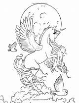 Coloring Pages Fairy Unicorn Book Adult Fantasy Colouring Horse Printable Books Color Unicorns Enchanted Colored Print Pencil Kids Sheets Drawings sketch template