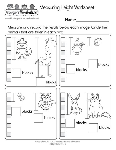 worksheets  measurement  kindergarten