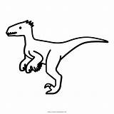 Velociraptor Raptor Deinonychus Carnivorous Ultracoloringpages sketch template