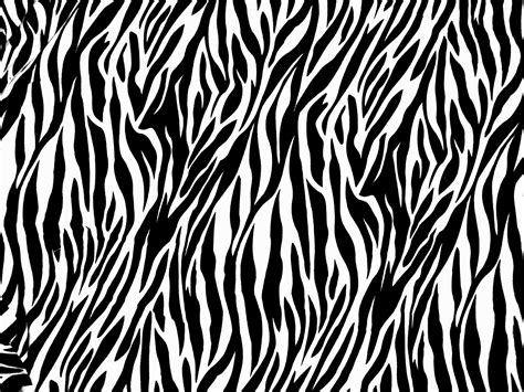 zebra print animals