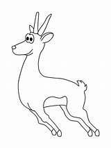 Coloring Pages Gazelle2 Animals Newt Cliparts Kids Clip Opossum Easily Print Library Clipart Advertisement Line Coloringpagebook sketch template