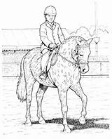 Show Coloring Pages Horse Jumping Horses Color Getcolorings Printable Gemerkt Von sketch template