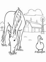 Coloring Pages Horse Farm Animal Printable Print Herd Templates Spirit Template Animals Kids Color Sheets Wild Horses Rocks Frame Two sketch template
