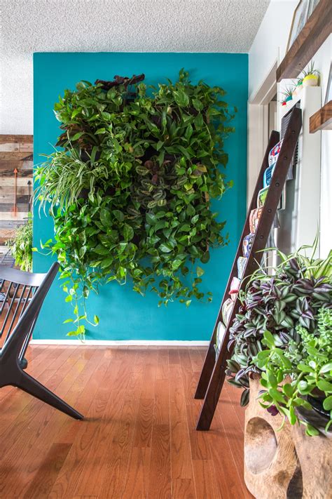 indoors   tips  creating  vertical garden apartment therapy