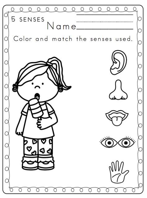 sense worksheet     senses worksheets  preschoolers
