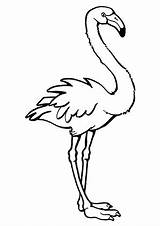 Flamingos Stehender Ausmalbild Ausdrucken sketch template