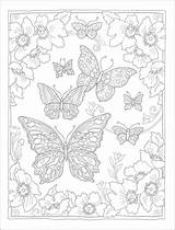 Flights Butterflies sketch template