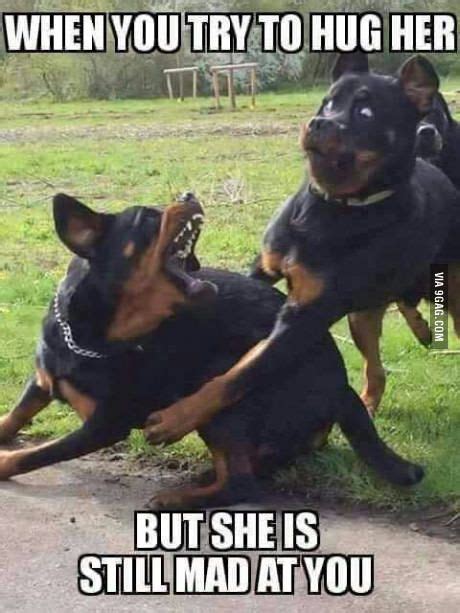 Top 24 Funny Couple Memes