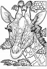 Coloring Pages Giraffe Animal Adult Book Animals Wild Adults Colouring Printable Books Color Creative Haven Portraits Kids Dover Men Publications sketch template