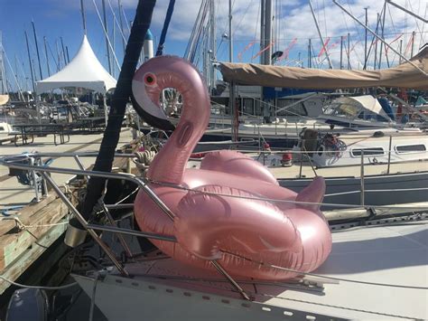 rose gold flamingo   flamingo float sailing party rose