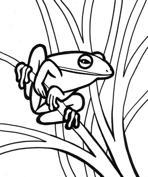 frog coloring pages  print