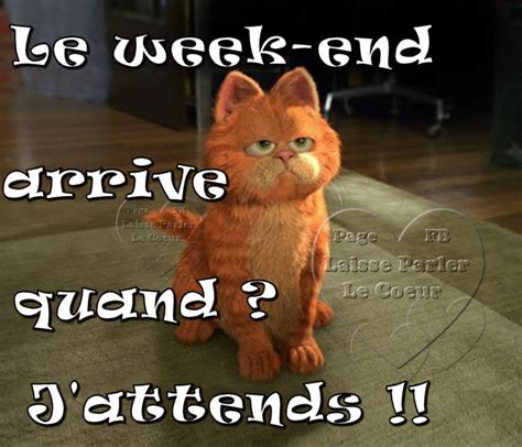 week end humour animaux blageusfree