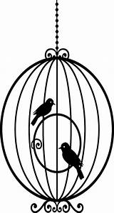 Cage Bird Coloring Pages Round Awesome Drawing Color Getdrawings Place Flying Printable Getcolorings sketch template