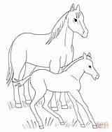 Horse Foal Coloring Pages Baby Printable Horses Animals Spirit Color Animal Supercoloring Clipart Foals Cute Movie Fohlen Mit Pferde Print sketch template