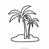 Palme Palma Colorare Disegni Malvorlage Palmen Ausmalen Palmeira Insel Kostenlos Kinderbilder Ultracoloringpages sketch template