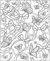 Coloring Haven Dover Papillon Insect Adulte sketch template