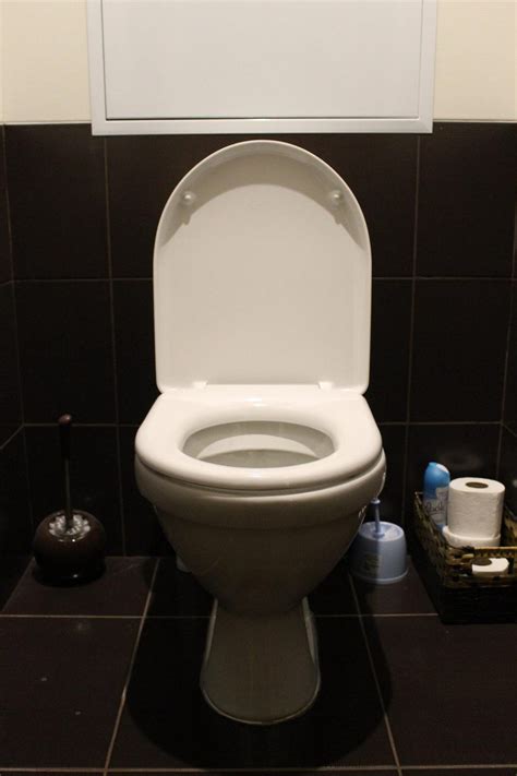 toilet ghost flushing    fix  pick  bathroom