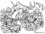 Ecosystem Coloring Pages Getdrawings sketch template