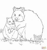 Quokka Coloring Baby Mom Pages Color Super 64kb 1200 sketch template