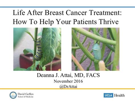 life after breast cancer treatment helping your patients