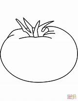 Coloring Tomato Pages Tomatoes Printable Vegetables Drawing Categories sketch template