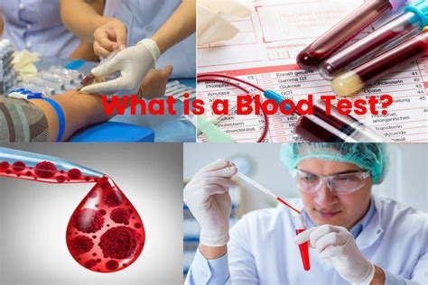 blood test definition   determine analysis
