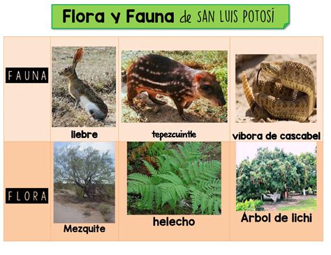 flora y fauna by sterling roal issuu