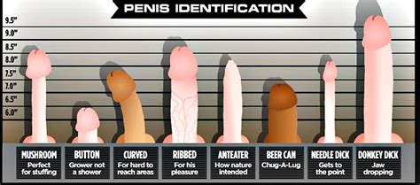 What Does Your Penis Look Like Please Comment 7 Pics