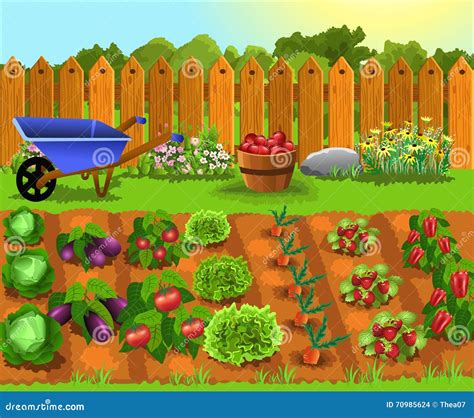 vegetable gardening  beginners  basics  planting vegetable